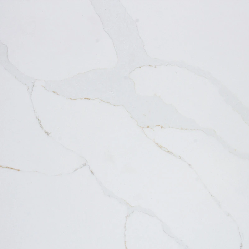 SF-V3108 Calacatta Gold(3)