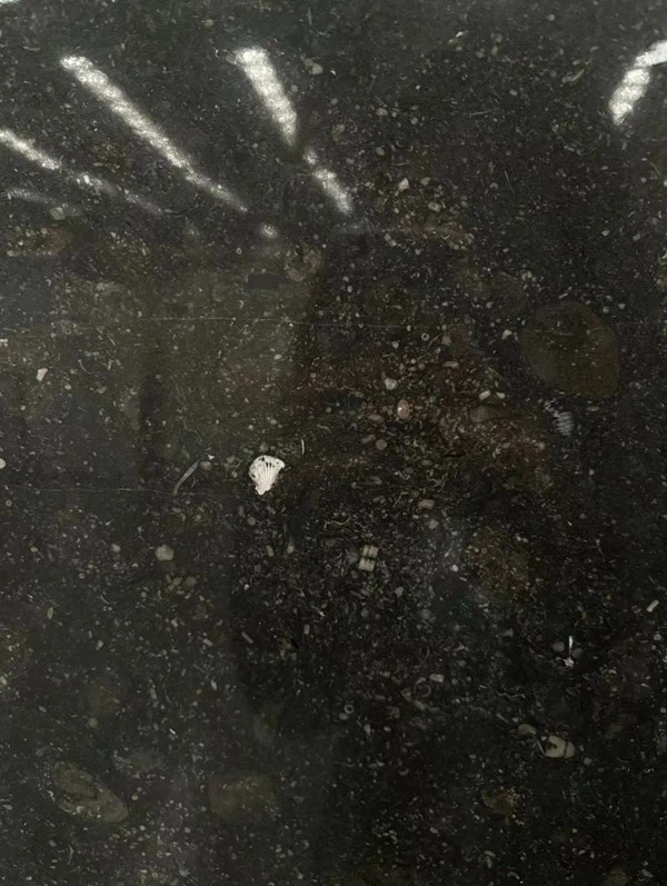 Belgian Black Marble Pattern