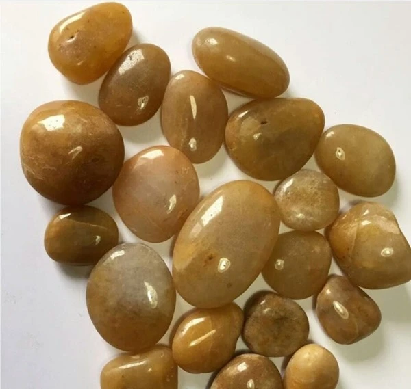 product-600-569