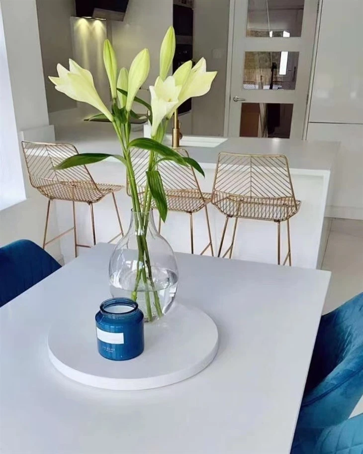 Super White Quartz table top