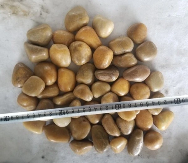 Yellow polished Pebble Stone